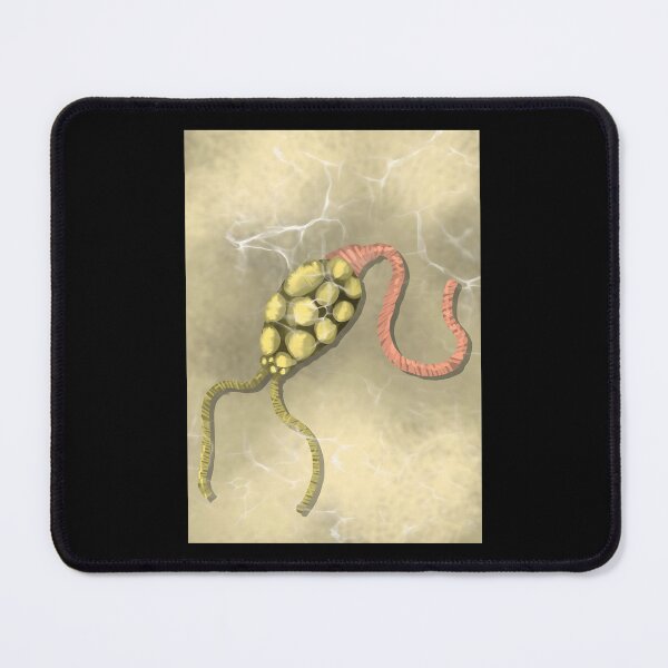 Item preview, Paramecium Protozoan Microscopic Biology Illustration designed and sold by lcnsdjstrtrystd.