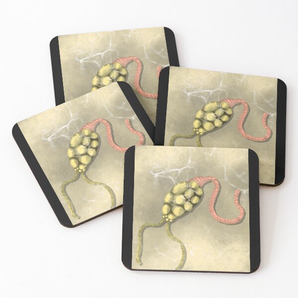 Item preview, Paramecium Protozoan Microscopic Biology Illustration designed and sold by lcnsdjstrtrystd.