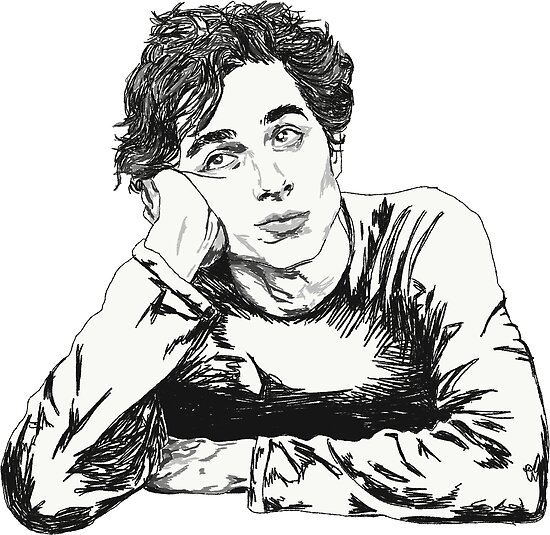 "Timothée Chalamet Sketch" Poster by gabrielamccain Redbubble