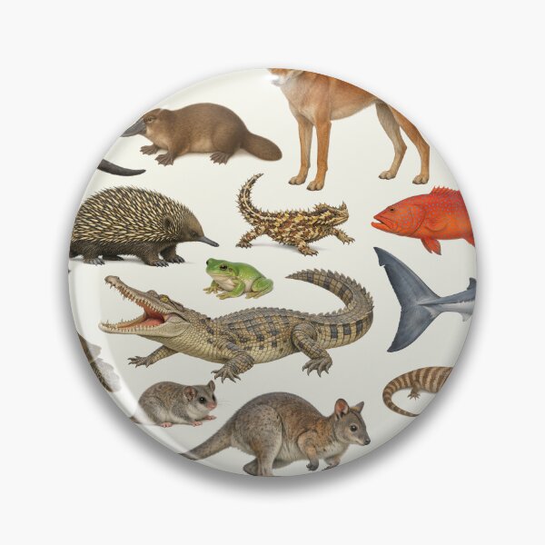 Item preview, Animals of Australia Retro Wildlife Identification Chart designed and sold by kakarikihill.