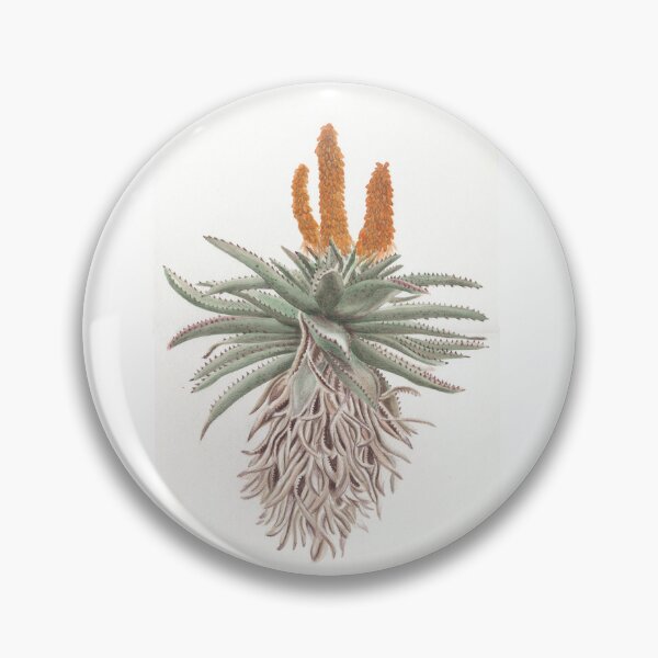 Item preview, Aloe Vera plant designed and sold by A Sweet  Fragrance Art.