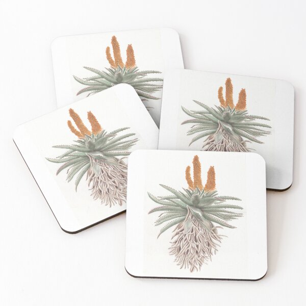 Item preview, Aloe Vera plant designed and sold by A Sweet  Fragrance Art.