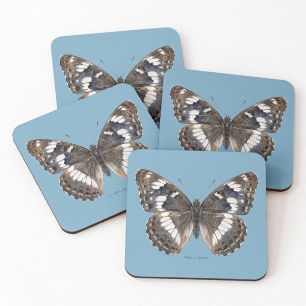 Item preview, Limenitis Populi Print: Poplar Admiral Delirium designed and sold by FreiherrPK.