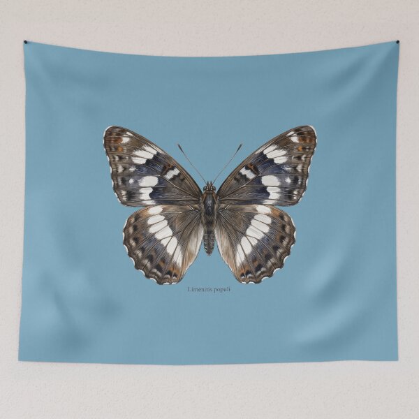 Item preview, Limenitis Populi Print: Poplar Admiral Delirium designed and sold by FreiherrPK.