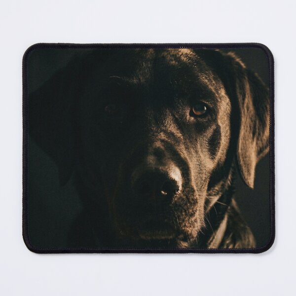 Item preview, Black Labrador Studio Portrait – Moody Low Key Dog Image designed and sold by TeeBee1234.