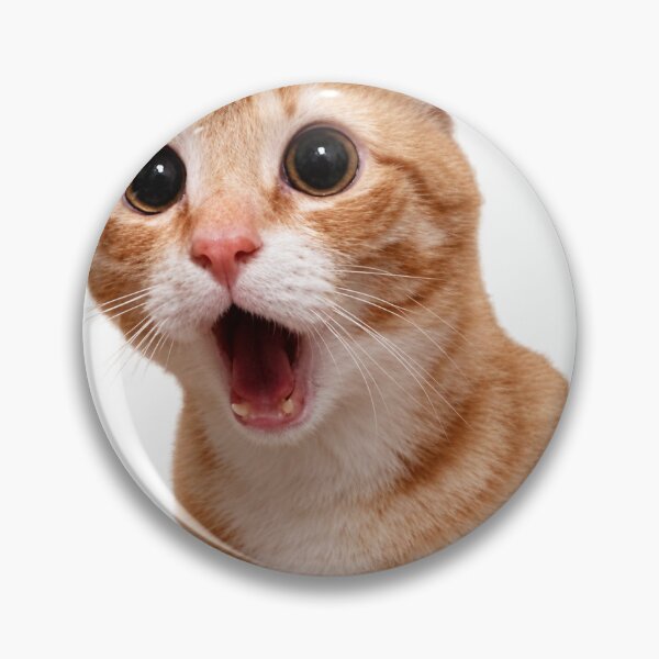 Item preview, Shocked Orange Cat Meme designed and sold by Tanishq Mundhe.