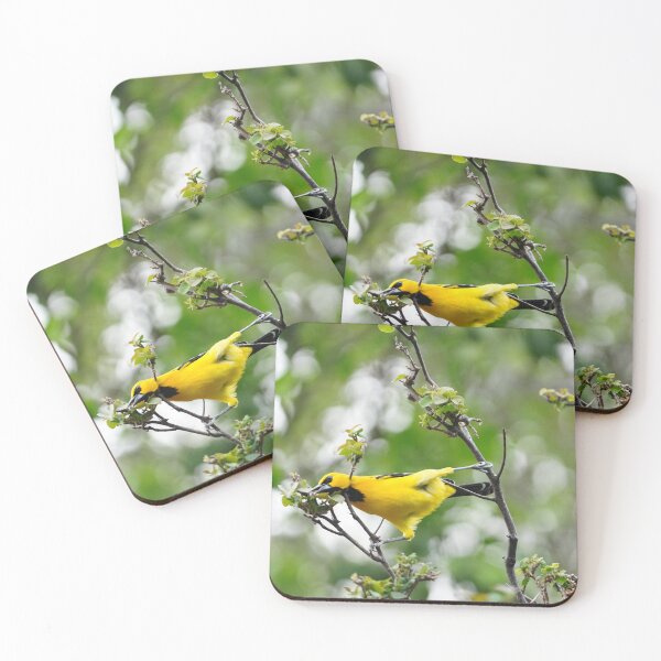 Item preview, Yellow Oriole designed and sold by Malcolm Snook.