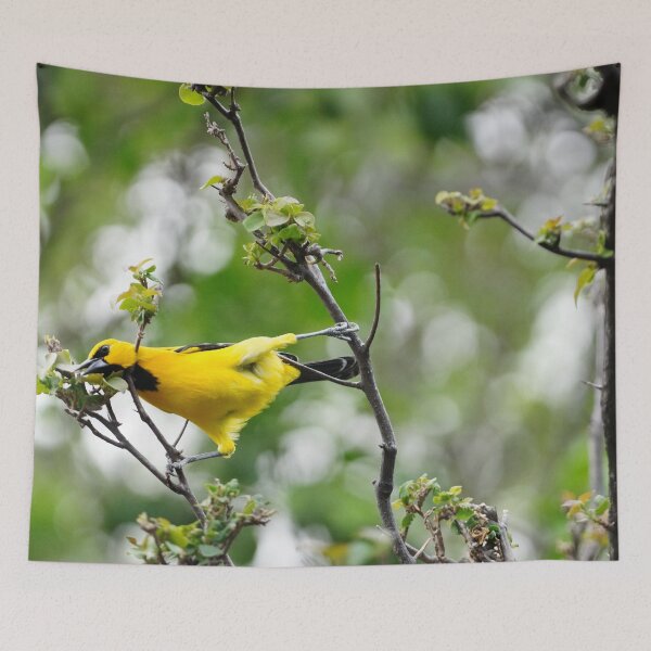 Item preview, Yellow Oriole designed and sold by Malcolm Snook.