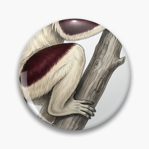 Item preview, Vintage Naturalist Coquerels Sifaka on a Branch — Antique Mammal Art designed and sold by Catch333.