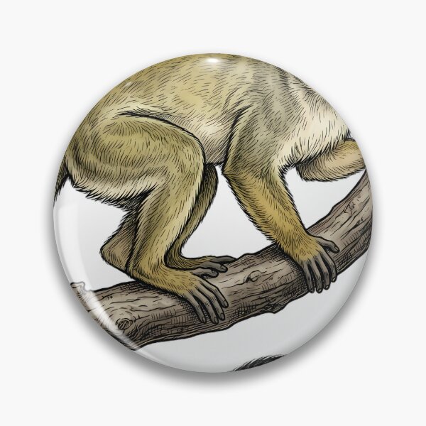 Item preview, Vintage Naturalist Squirrel Monkey on a Branch — Antique Mammal Print designed and sold by Catch333.