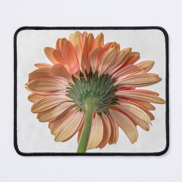 Item preview, Architecture of a Blossom designed and sold by MariaAbaza.