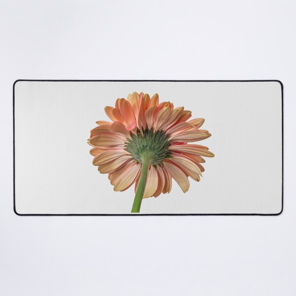 Item preview, Architecture of a Blossom designed and sold by MariaAbaza.