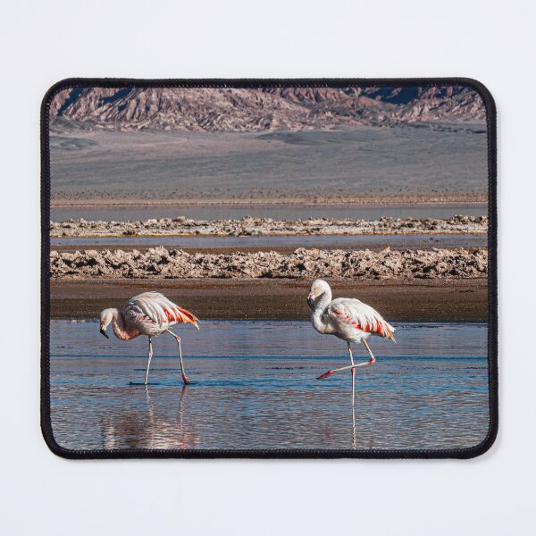Item preview, Flamingos Laguna Carachipampa Catamarca Andes Wild designed and sold by Keltoi-art.