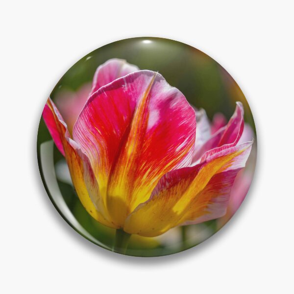 Item preview, Fire and Silk Tulip designed and sold by Twisted Light Images.