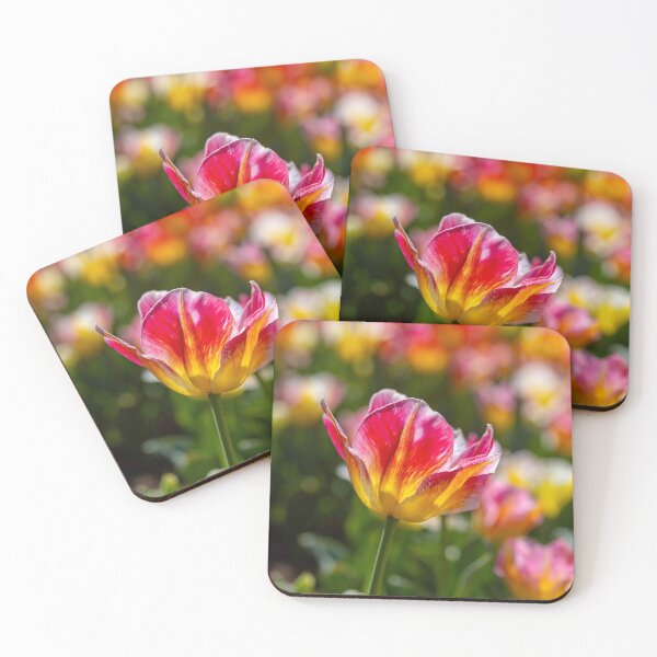 Item preview, Fire and Silk Tulip designed and sold by Twisted Light Images.
