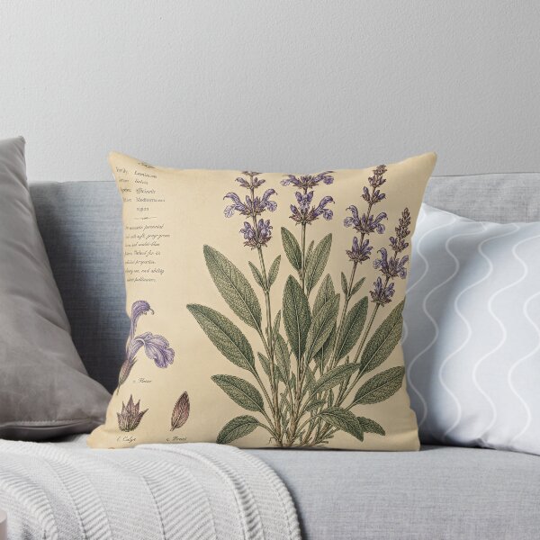 Item preview, Vintage Sage Botanical Illustration in Antique Style designed and sold by Oraibi.