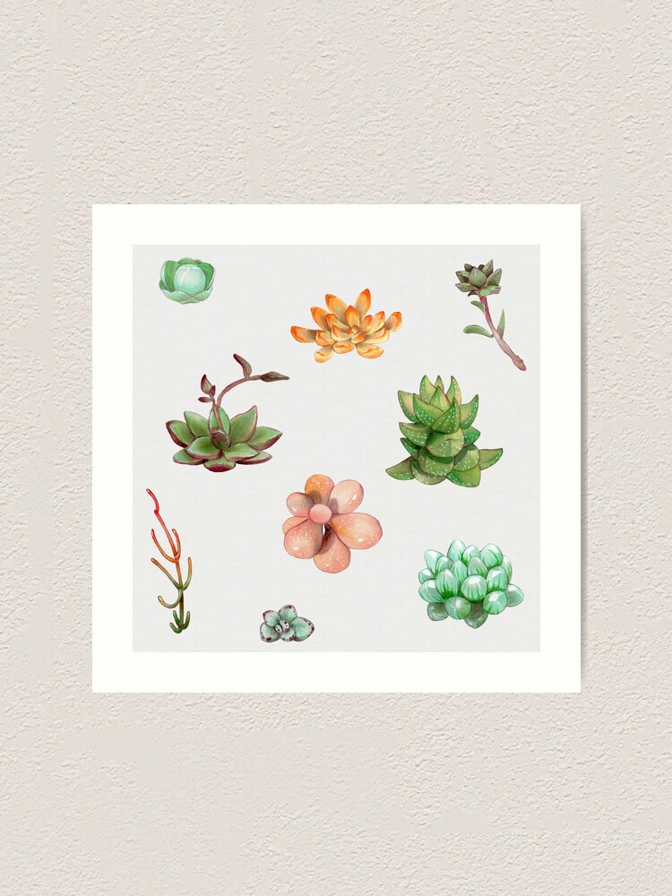 Alternate view of Bubbly Succulents Art Print