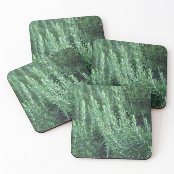 Item preview, Rosemary  designed and sold by Murph's Images.