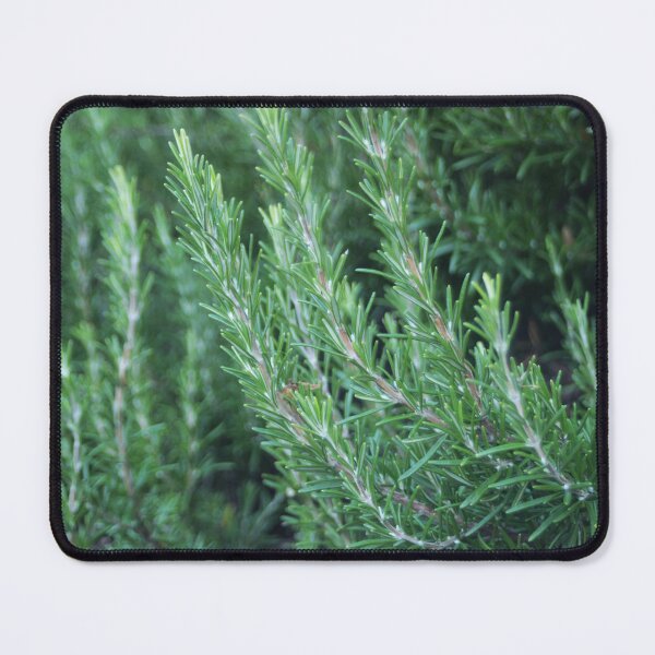 Item preview, Rosemary designed and sold by Murph's Images.