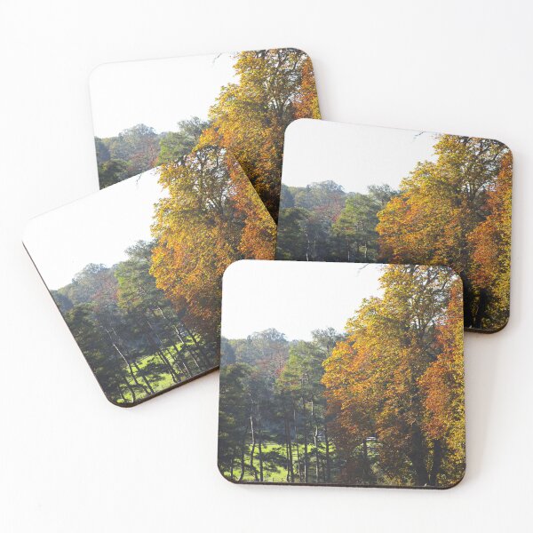 Item preview, Trees of the Wychwood Forest designed and sold by Murph's Images.