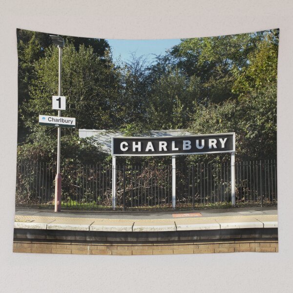 Item preview, Platform One designed and sold by Murph's Images.