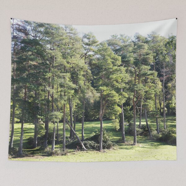Item preview, Scots Pine designed and sold by Murph's Images.