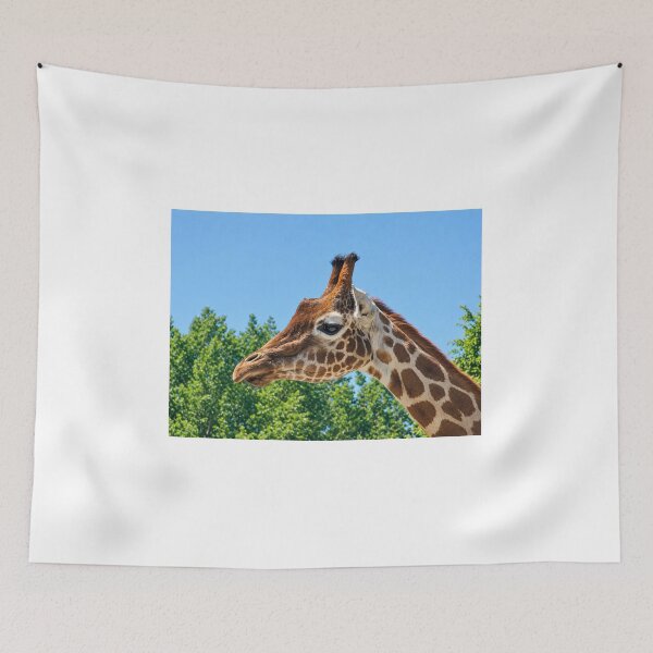 Item preview, Giraffe Profile, Vibrant Wildlife Beauty designed and sold by Astute-Artio-Photography.