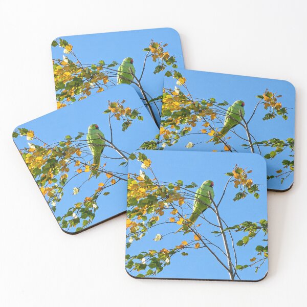 Item preview, Lime-Green Parakeet Amidst Autumn Leaves designed and sold by Astute-Artio-Photography.