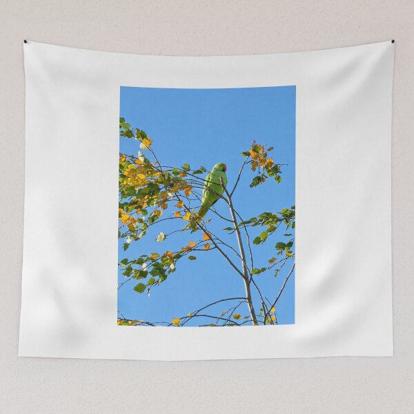 Item preview, Lime-Green Parakeet Amidst Autumn Leaves designed and sold by Astute-Artio-Photography.