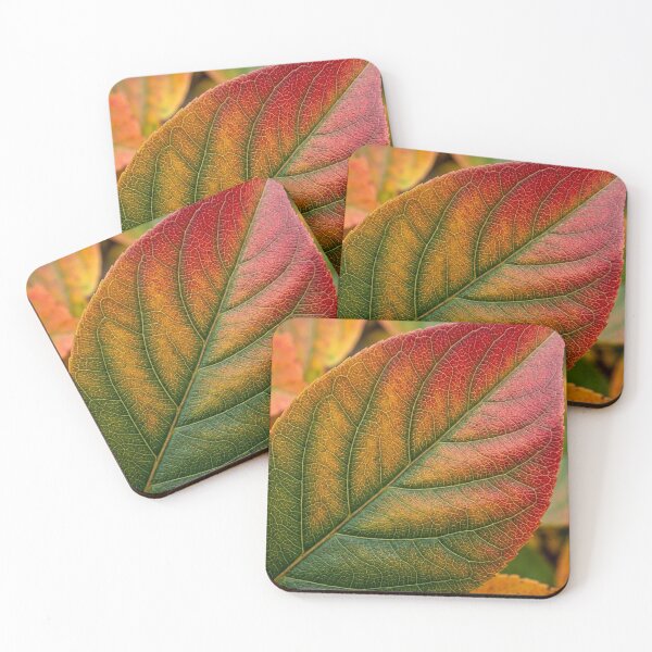 Item preview, Texture – Leaf designed and sold by snoWorkshop.