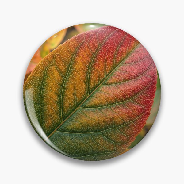 Item preview, Texture – Leaf designed and sold by snoWorkshop.