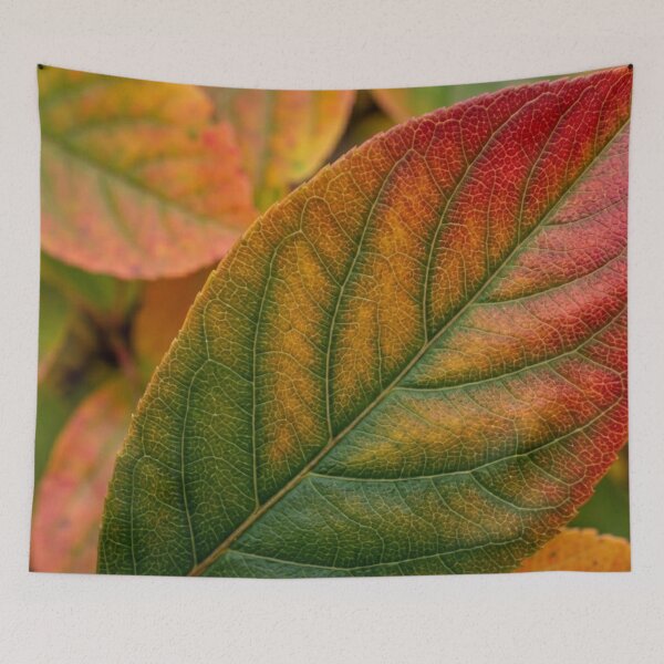 Item preview, Texture – Leaf designed and sold by snoWorkshop.