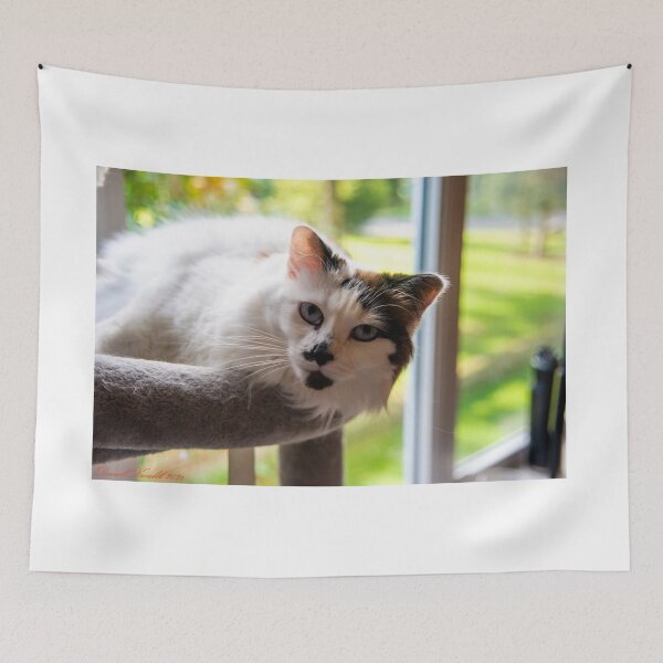 Item preview, Say "hi" to Maya designed and sold by Darrell Kroulik.
