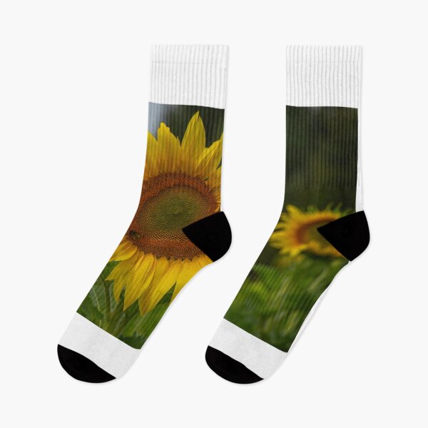 Item preview, A Sunflower designed and sold by Darrell Kroulik.