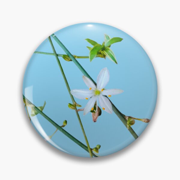 Item preview, White Flower Green Vines Spider Plant Photograph Blue Background designed and sold by BOKEbyTC.