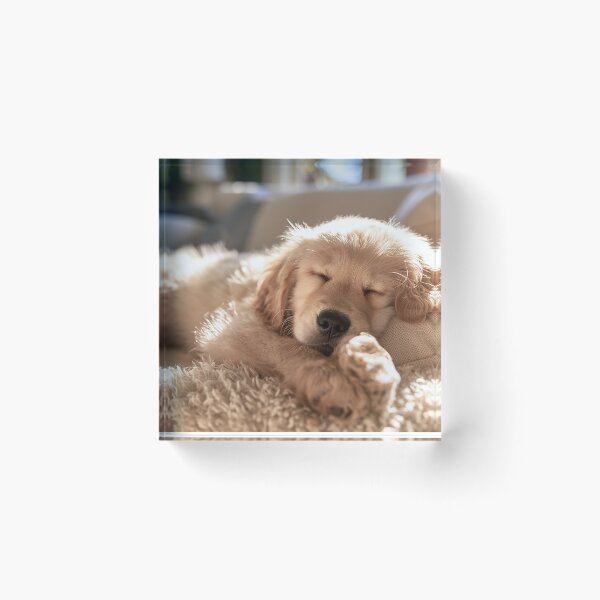 Item preview, Sleeping Retriever Puppy designed and sold by Neo-Chrio.