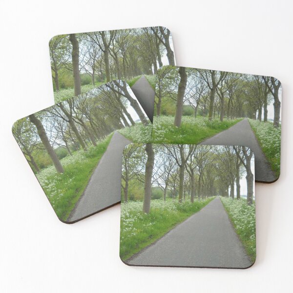 Item preview, XXX bikepath designed and sold by Dead Parrot Technology.