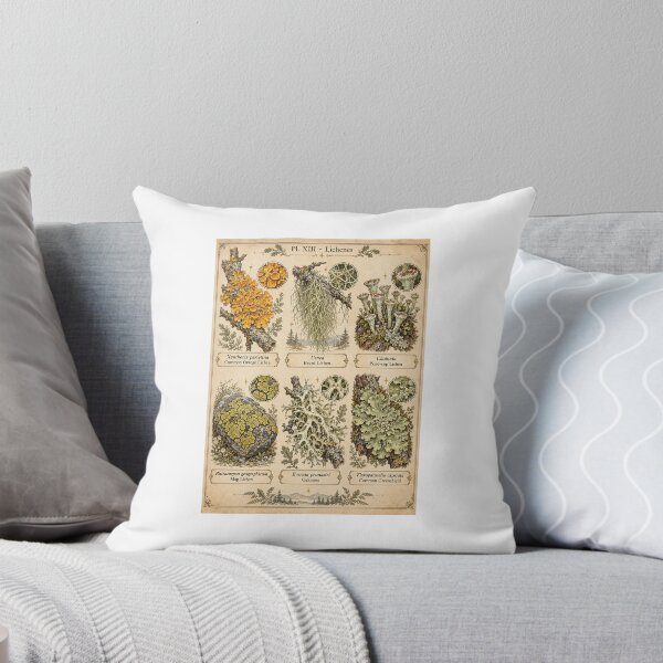 Item preview, Lichen Identification Chart | Vintage Botanical Field Guide Art | Naturalist Gift designed and sold by Brackenlume Studio.