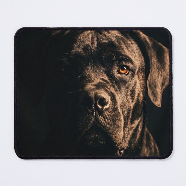 Item preview, Majestic Cane Corso Portrait - Dark Moody Mastiff Guard Dog Art designed and sold by TeeBee1234.