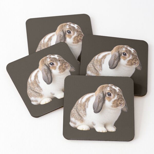 Item preview, Adorable Brown and White Lop-Eared Rabbit designed and sold by Susan Savad.