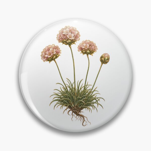 Item preview, Sea Thrift Botanical | Coastal Wildflower Art | Seaside Cottage Gift designed and sold by Brackenlume Studio.