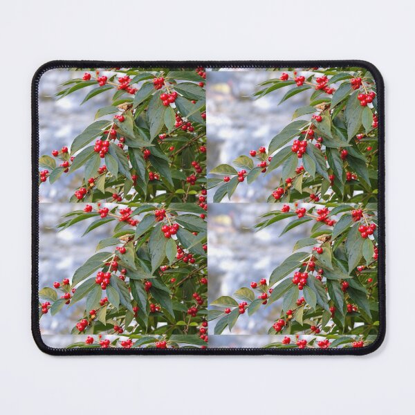 Item preview, Bush Honeysuckle Berries designed and sold by SquaresArt.