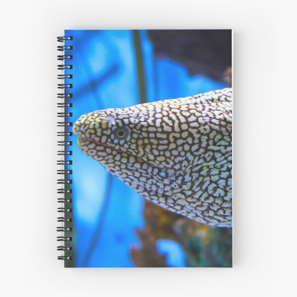 Item preview, Eel designed and sold by Creek Nymph Photography.