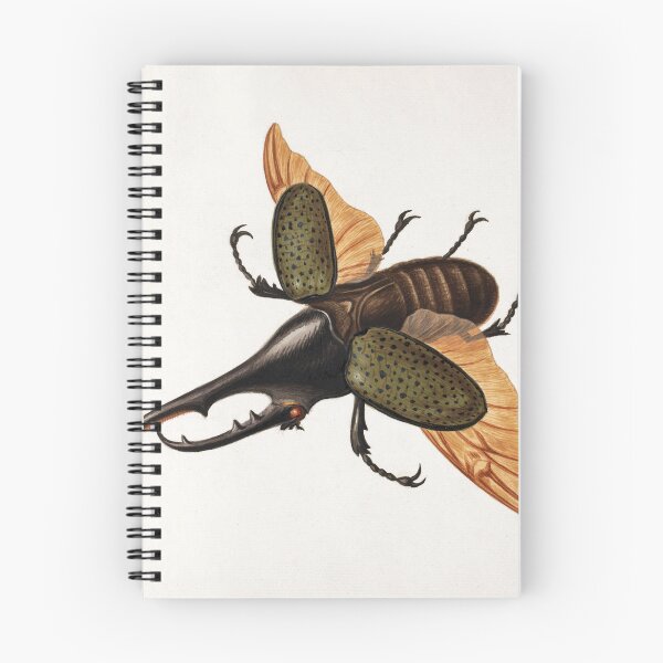 Item preview, Hercules Beetle (1758), vintage insect illustration by George Edwards designed and sold by AngyDesigns49.