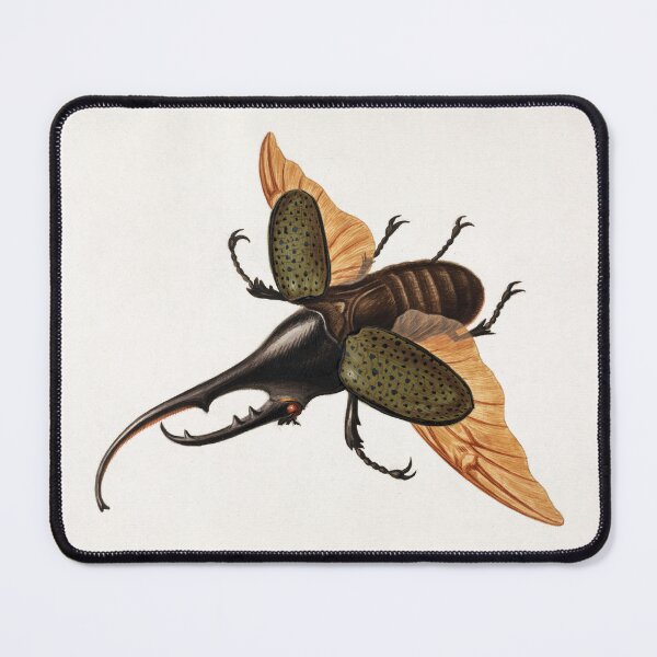 Item preview, Hercules Beetle (1758), vintage insect illustration by George Edwards designed and sold by AngyDesigns49.