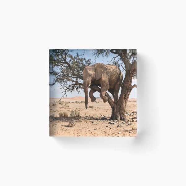Item preview, The Scared Elephant - Funny Tree Climbing Safari Animal Art designed and sold by TeeBee1234.