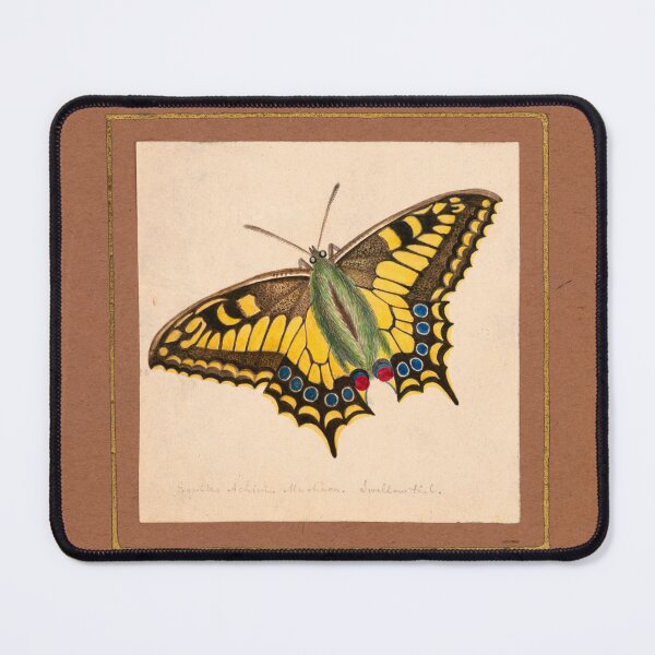 Item preview, Equites Achivi Machaon Swallowtail (ca. 1820–1839) painting by William Wood Thackara. designed and sold by AngyDesigns49.