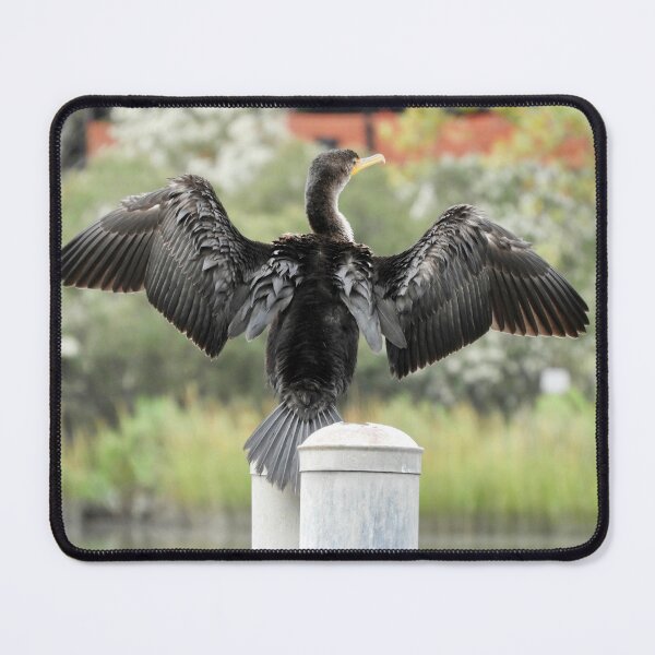 Item preview, Double-crested Cormorant in Autumn designed and sold by Birds of Inwood.