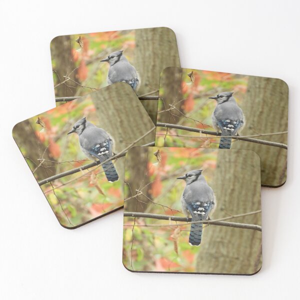 Item preview, Blue Jay in Autumn designed and sold by Birds of Inwood.