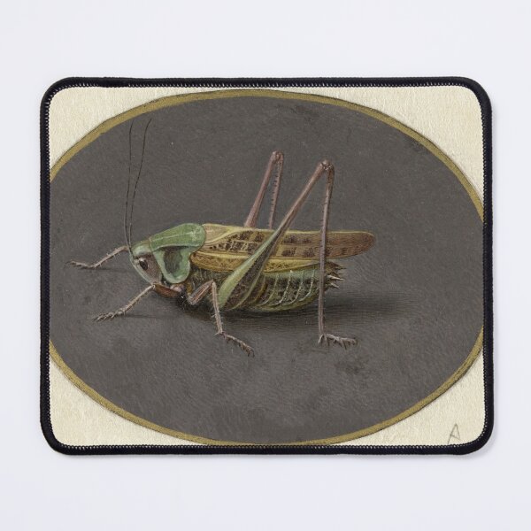 Item preview, Sprinkhaan by Jan Augustin van der Goes designed and sold by AngyDesigns49.